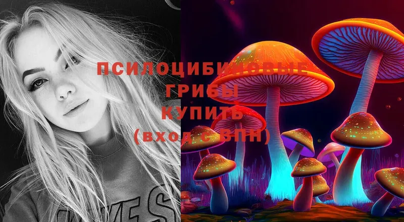 Галлюциногенные грибы Psilocybine cubensis  дарк нет телеграм  Дегтярск 